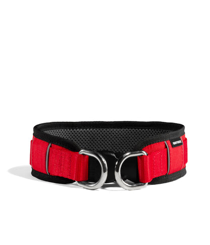 Collar para perros MaxTrek Find - Sunset