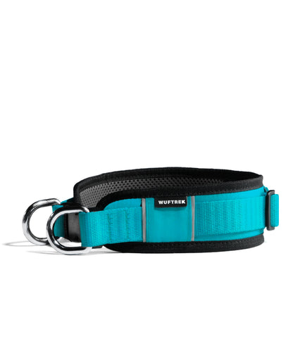Collar para perros MaxTrek Find - Aqua