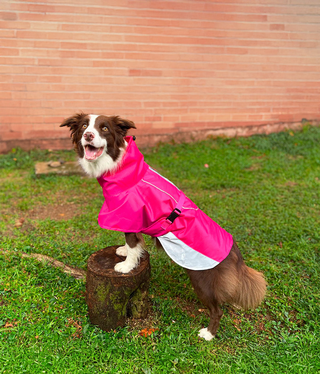 Impermeable para perro color fucsia