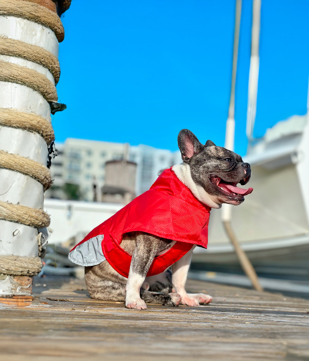 Un perro en un muelle usando un Impermeable para perro color rojo