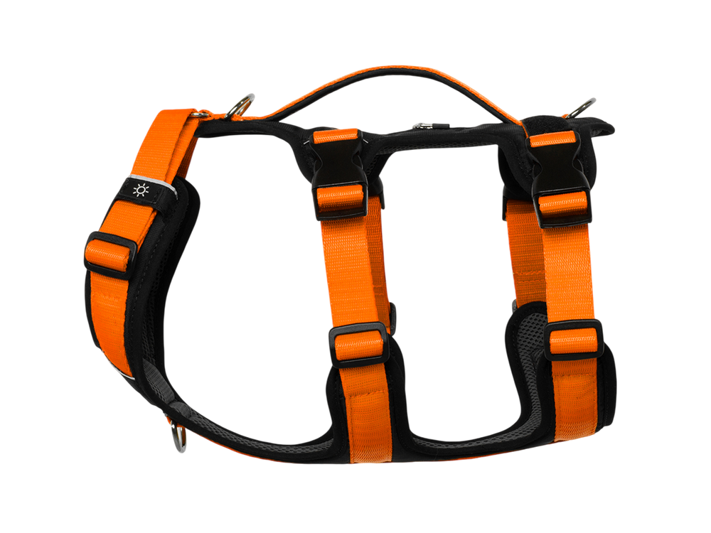 Arnés antiescape TrekFit Y-3 para perros