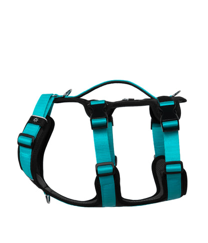 Arnes con tres tiras visto desde un lado, color aqua con negro, se pueden ver las 3 tiras ajustables, la manija de control, el bolsillo para localizador o identificación, espacio de parche en velcro y las argollas de atras y anti tirones adelante