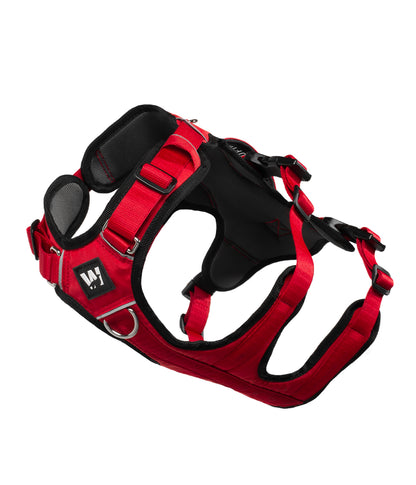 Arnés Anti tirones Para Perros TrekRover 3 - Sunset