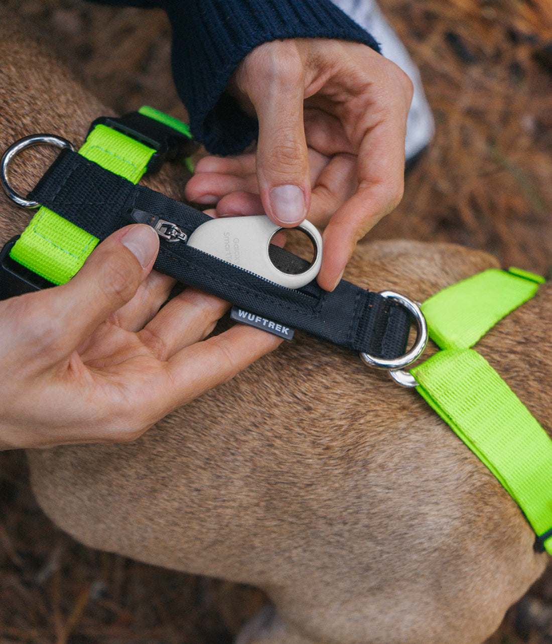 Arnés H para perros TrekZero H-Series - Citrus