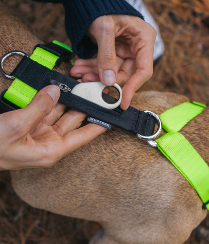 Arnés H para perros TrekZero H-Series - Citrus