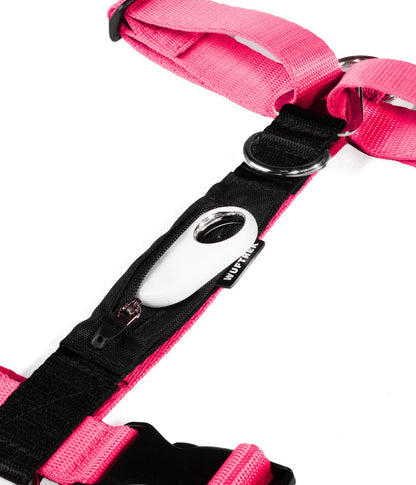 Detalle de un arnés para perros en forma de H en color rosa flamingo