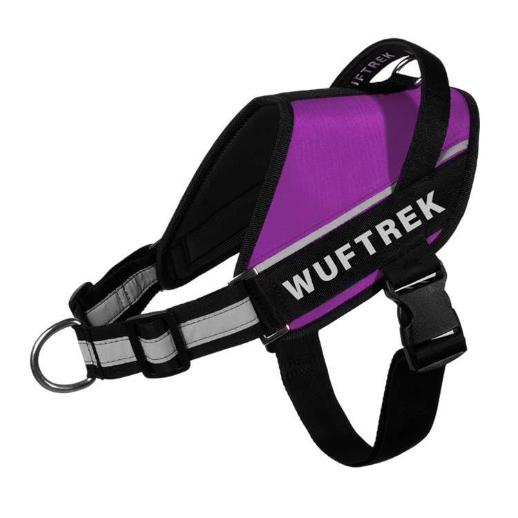 Arnés para perros UrbanTrek color violeta