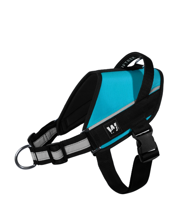 <h3><strong>Características Arnés TrekOne</strong></h3>