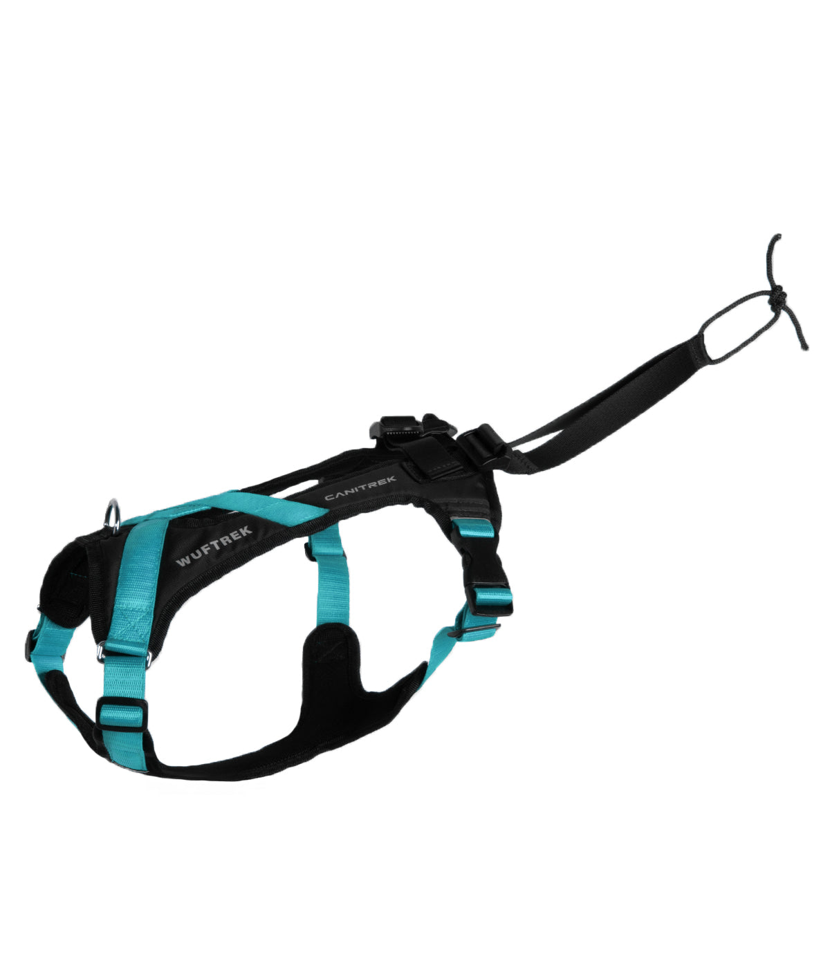 Side view of an Aqua-and-black canicross dog harness, showing the back straps, adjustable straps, and attachment loop