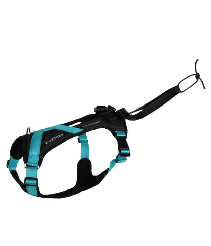 Arnés Para Canicross CaniTrek - Aqua