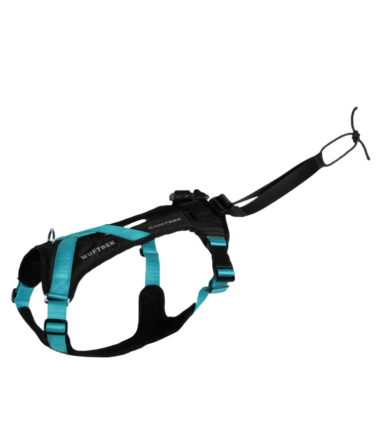 <h2>¿Por qué comprar el arnés CaniTrek?</h2>