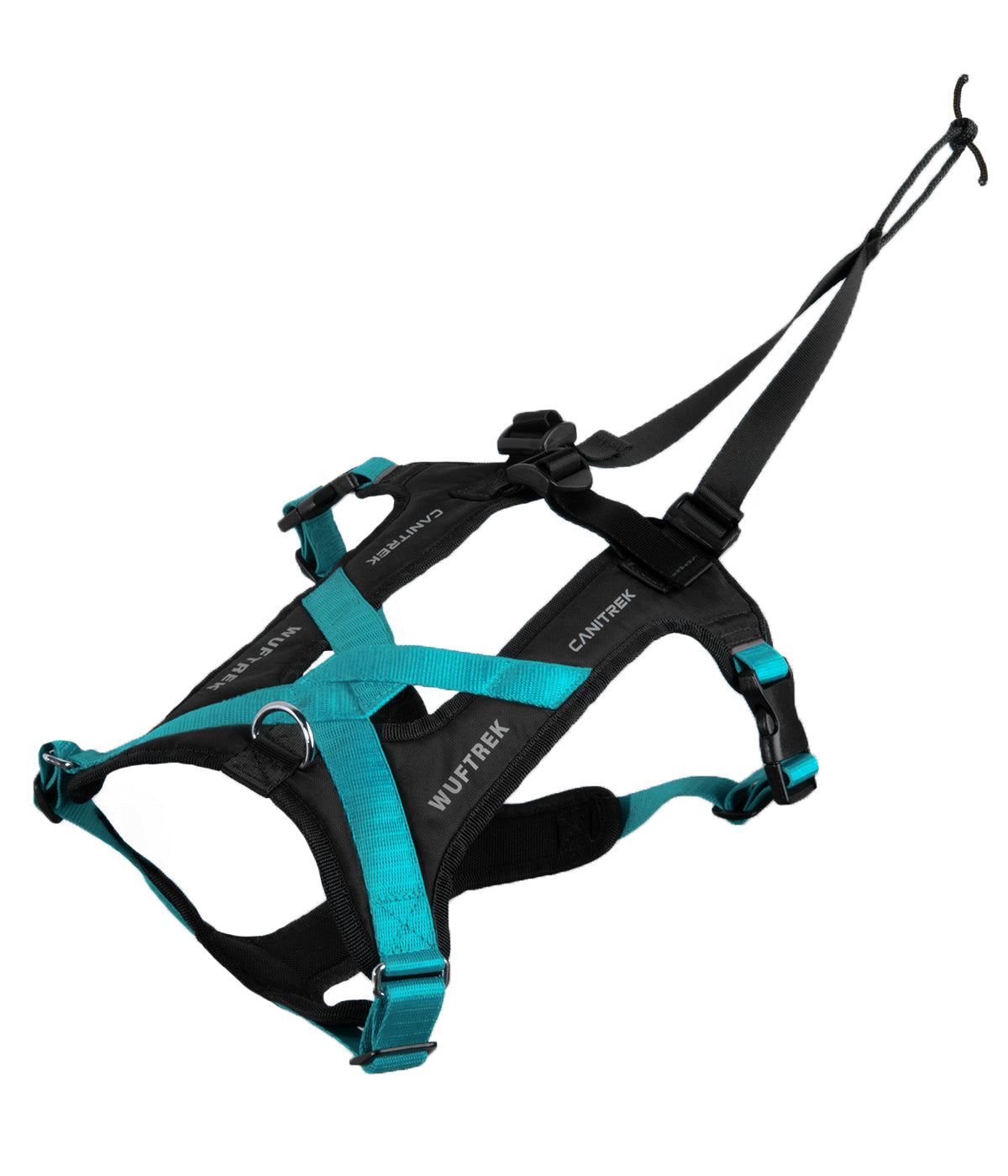 Top view of an Aqua-and-black canicross dog harness, showing the back straps, adjustable straps, and attachment loop