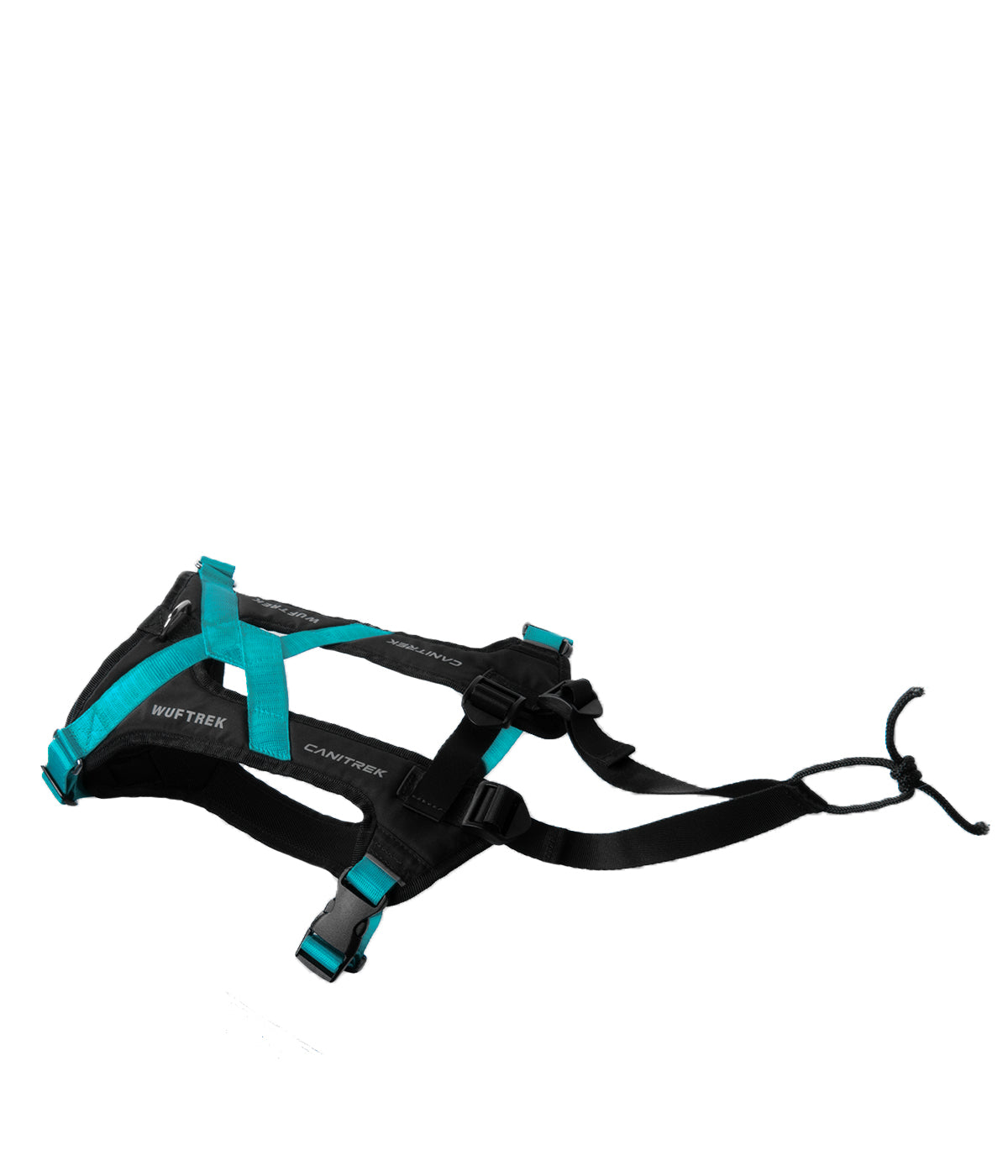 Top view of an Aqua-and-black canicross dog harness, showing the adjustable straps and attachment loop