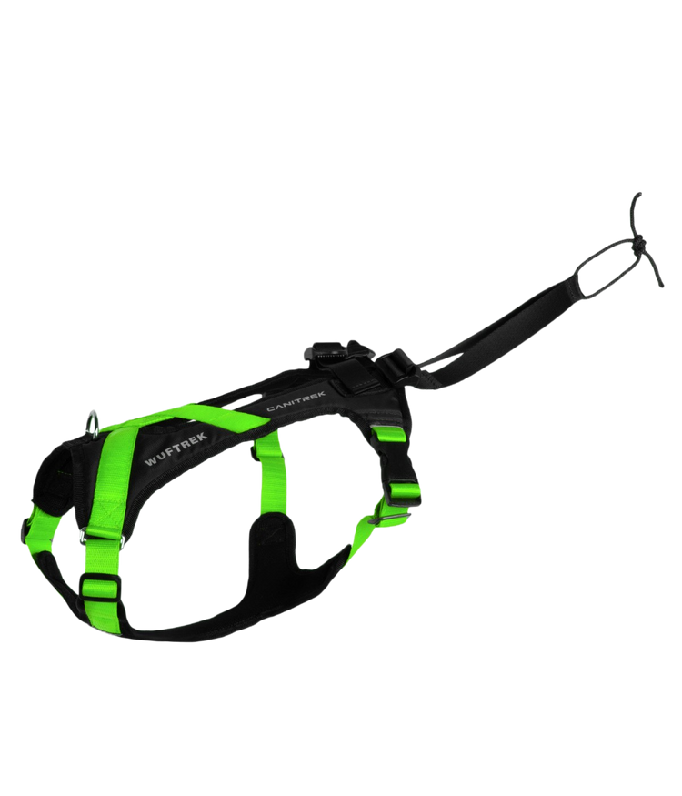 Arnes para canicross color verde neon vista de lado