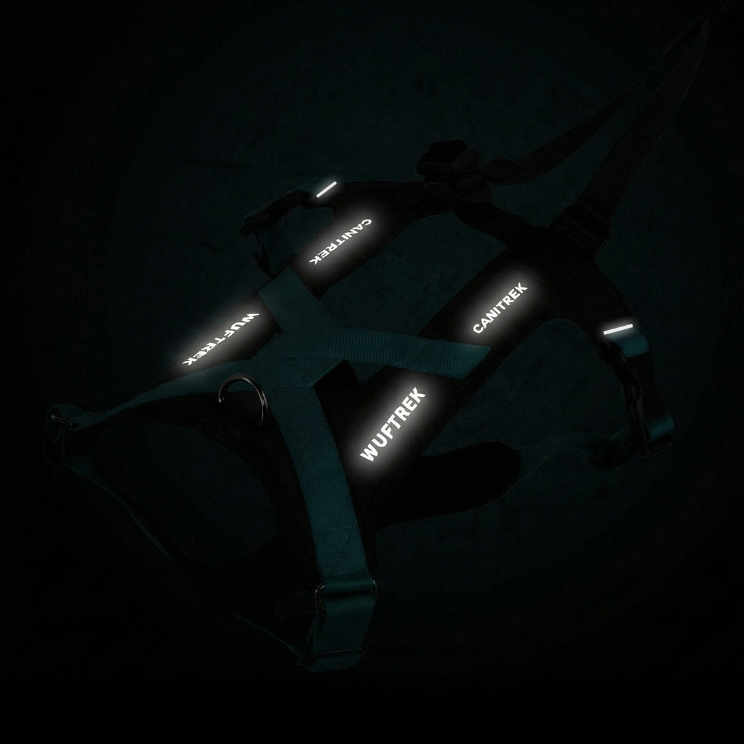 Logos reflectivos nocturnos para arnes de perro