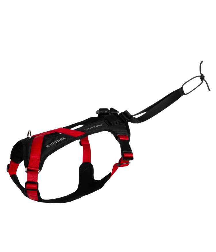 Arnes para canicross color rojo vista de lado