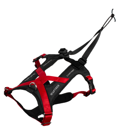 Arnés Para Canicross CaniTrek - Sunset