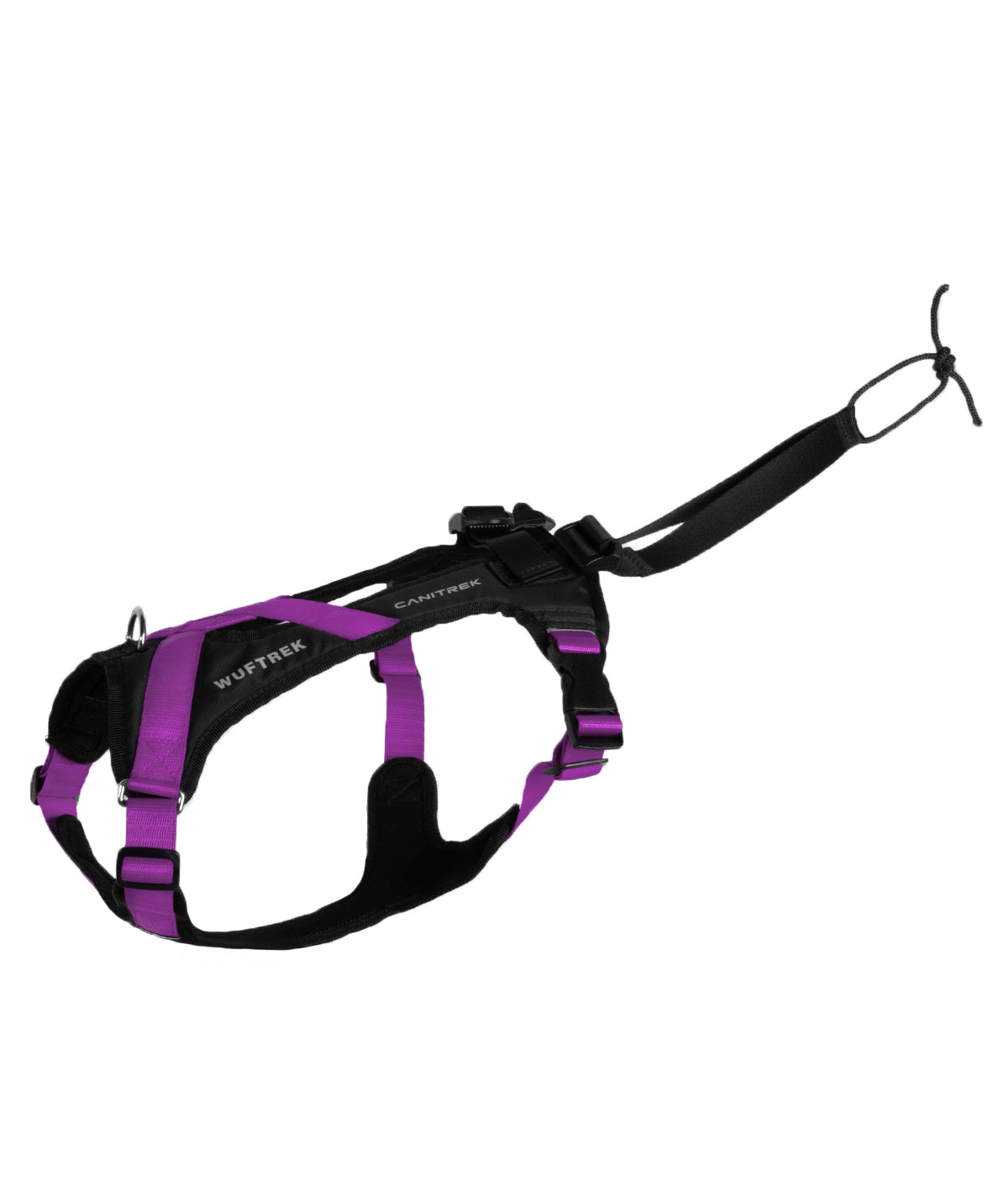 Side view of a violet-and-black canicross dog harness