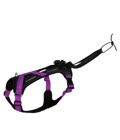 Arnés Para Canicross CaniTrek - Violet