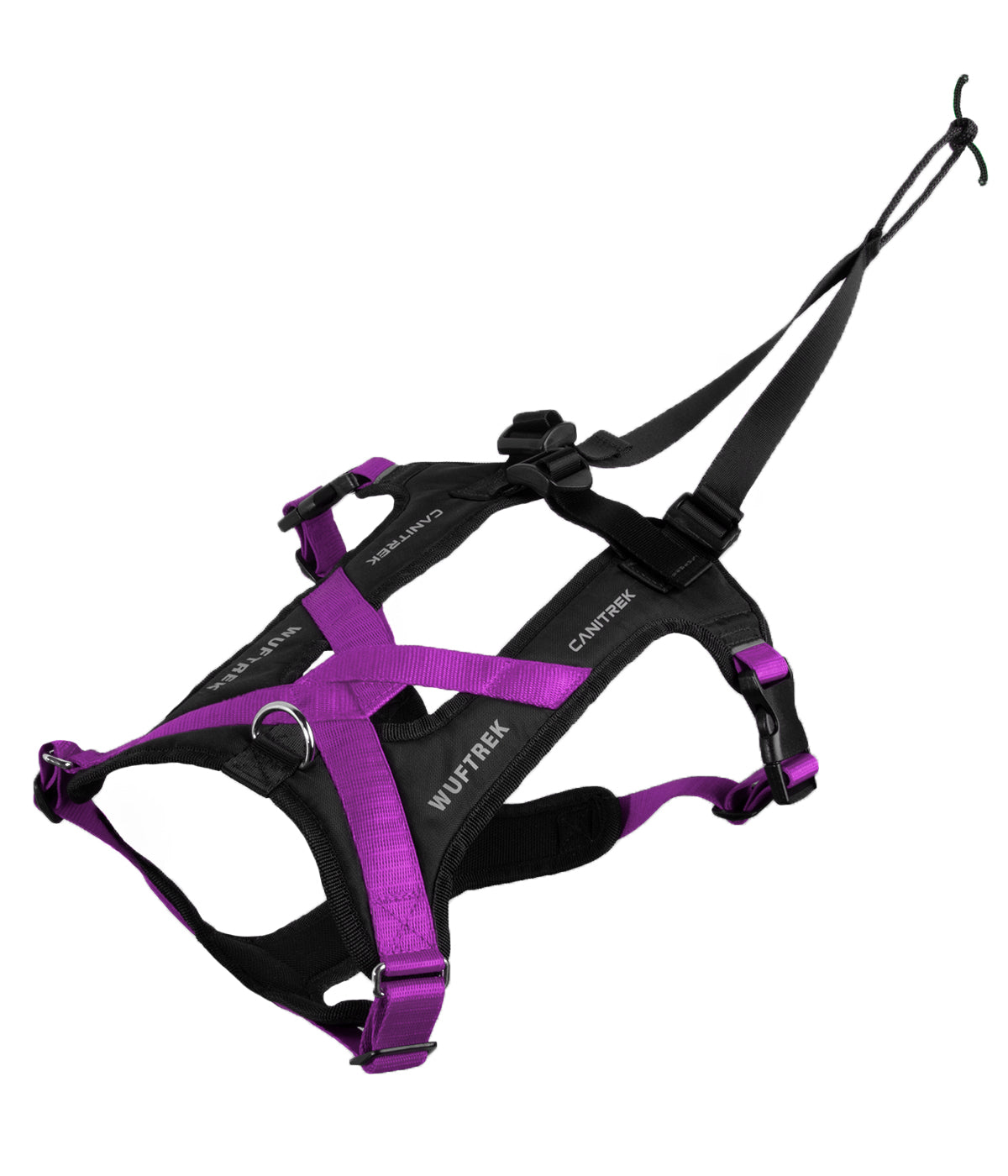 Top view of a violet-and-black canicross dog harness, showing the adjustable straps and attachment loop