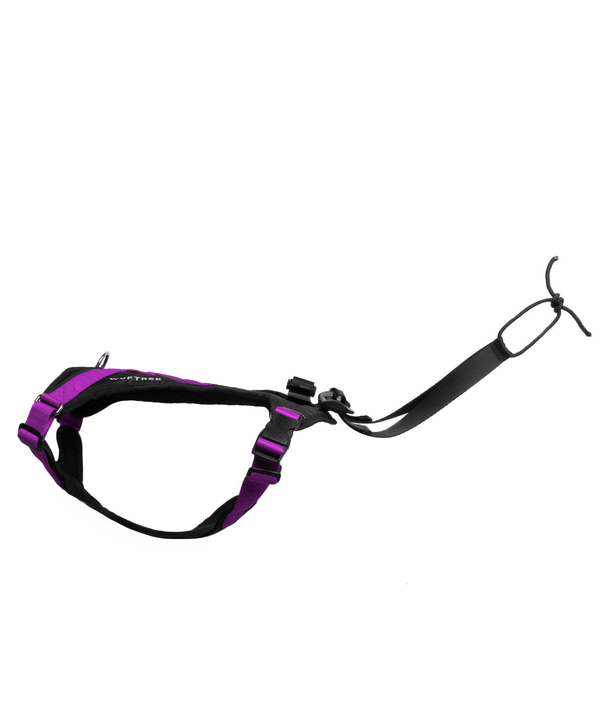 Right-side view of a violet-and-black canicross dog harness, showing the adjustable straps and attachment loop