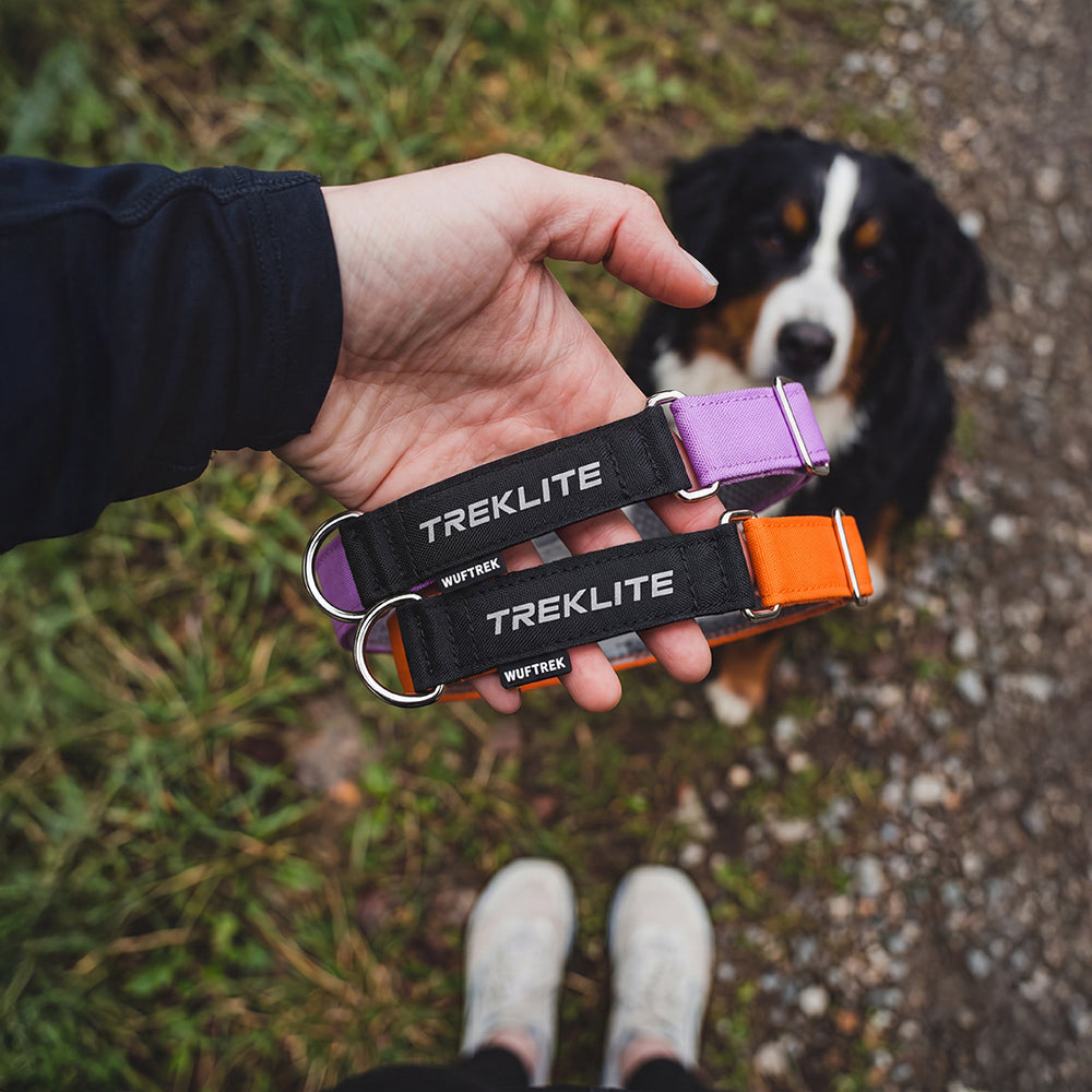 Collares técnicos para perros WUFTREK