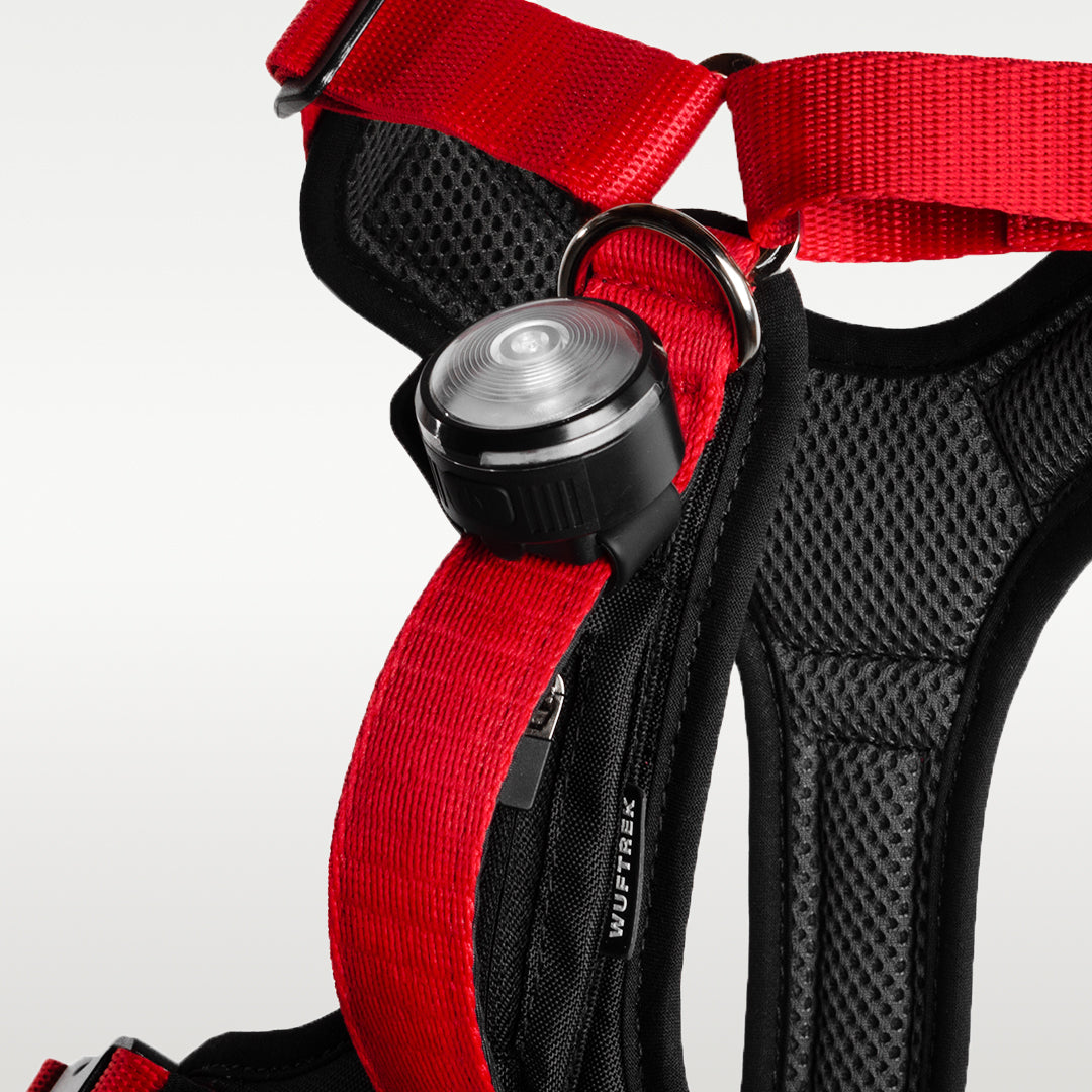 Manija vertical de control del arnés TrekFit Y-Series para perros