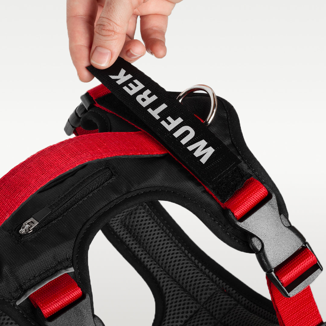 Panel de velcro para parche de identificación del arnés TrekFit Y-3