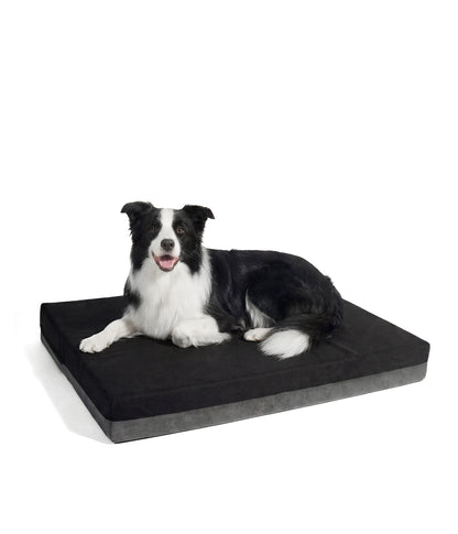 Un perro border collie durmiendo en un colchon ortopedico