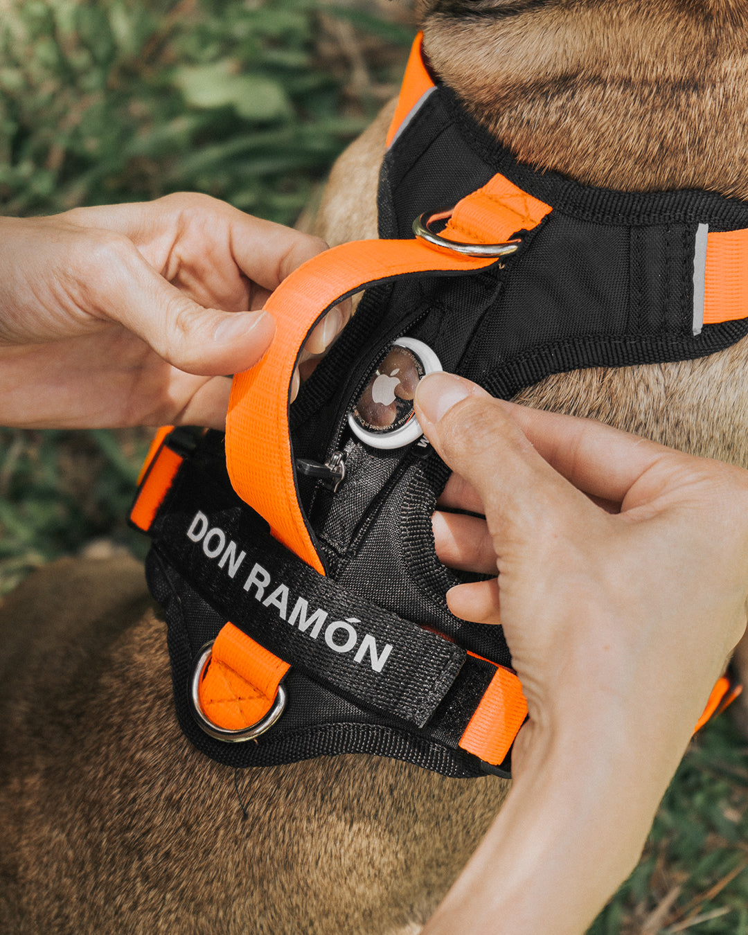 Una pechera negra con naranja, con bolsillo para localizador, puesta en un perro, tiene manija de agarre, dos argollas atras y espacio para parche en velcro. Una mano esta introduciendo un localizador airtag en el bolsillo