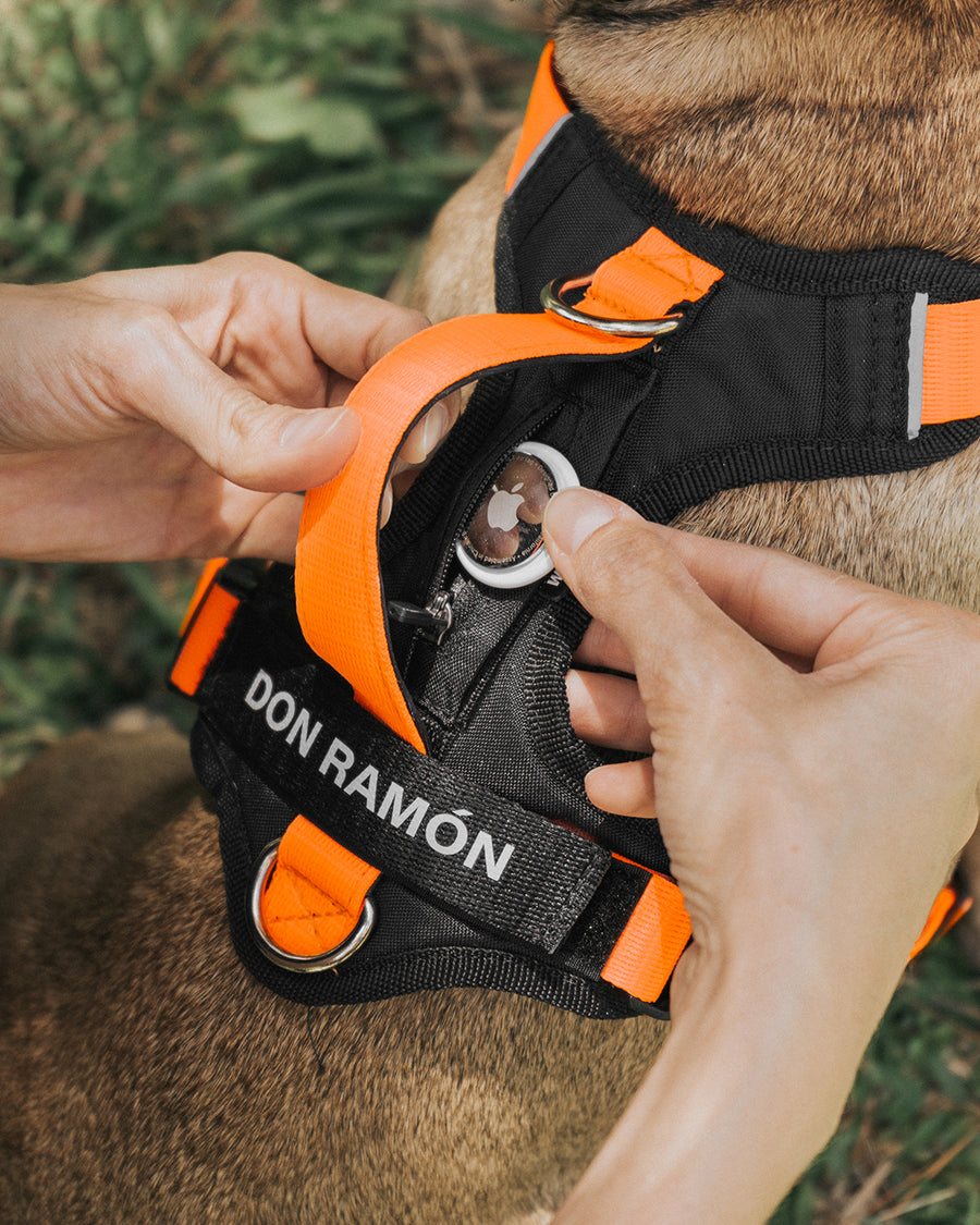Perro usando pechera AirTrek Pro con bolsillo integrado para localizador