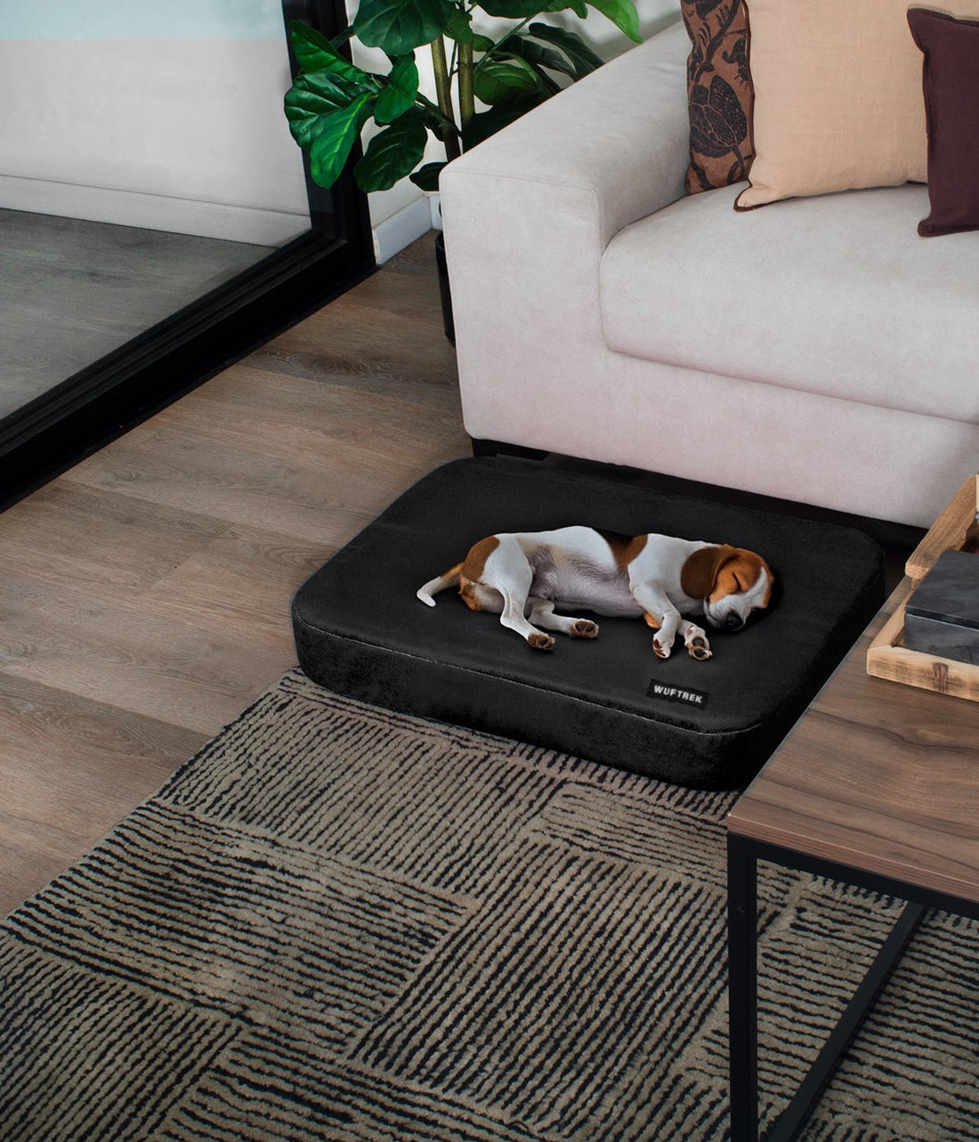 Cama Ortopédica para perros TrekComfort - Black