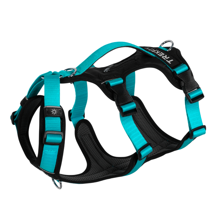 Arnes con tres tiras visto desde arriba, color aqua con negro, se pueden ver las 3 tiras ajustables, la manija de control, el bolsillo para localizador o identificación, espacio de parche en velcro y las argollas de atras y anti tirones adelante