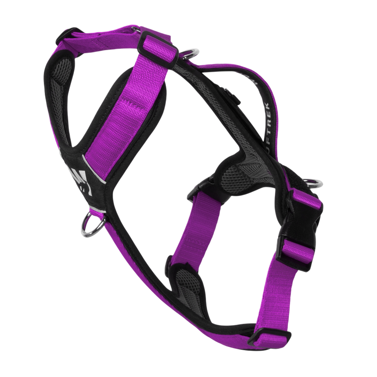 Un Arnes en forma de Y en color violeta con negro, visto de lado, se puede observar la manija de control, las argollas de atras, las tiras ajustables y la argolla anti tirones