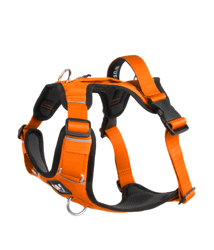 Una pechera para perros color naranja