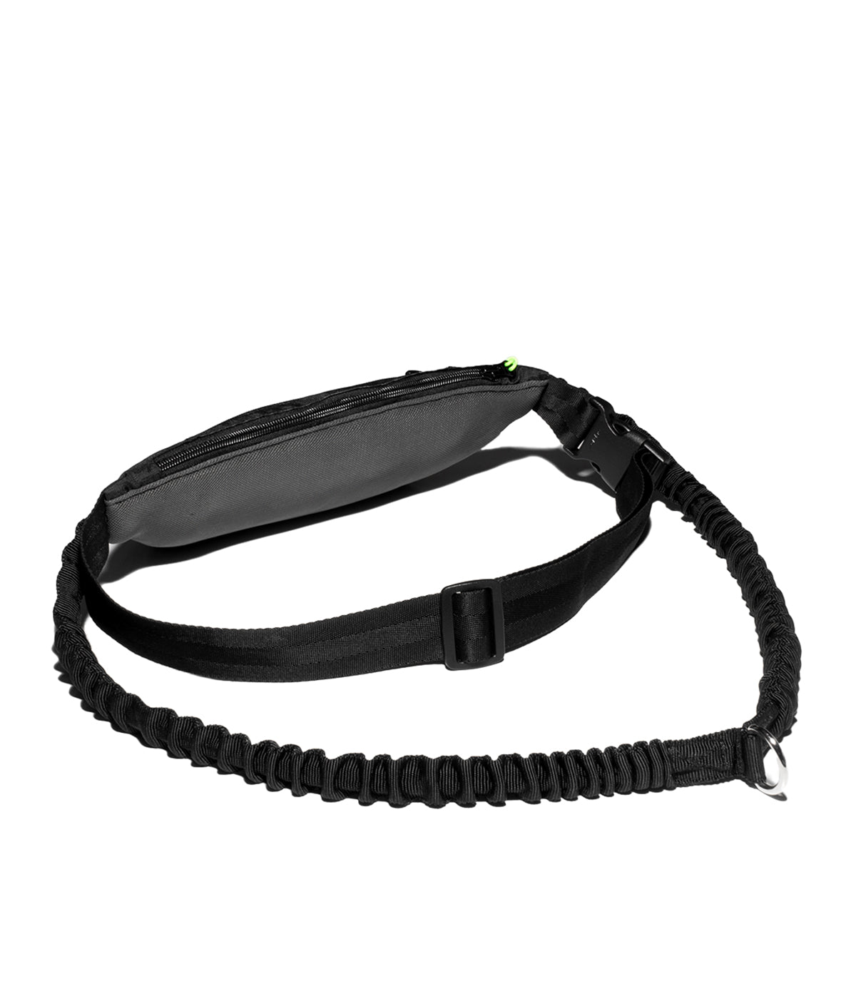 Interior view of the dog running belt