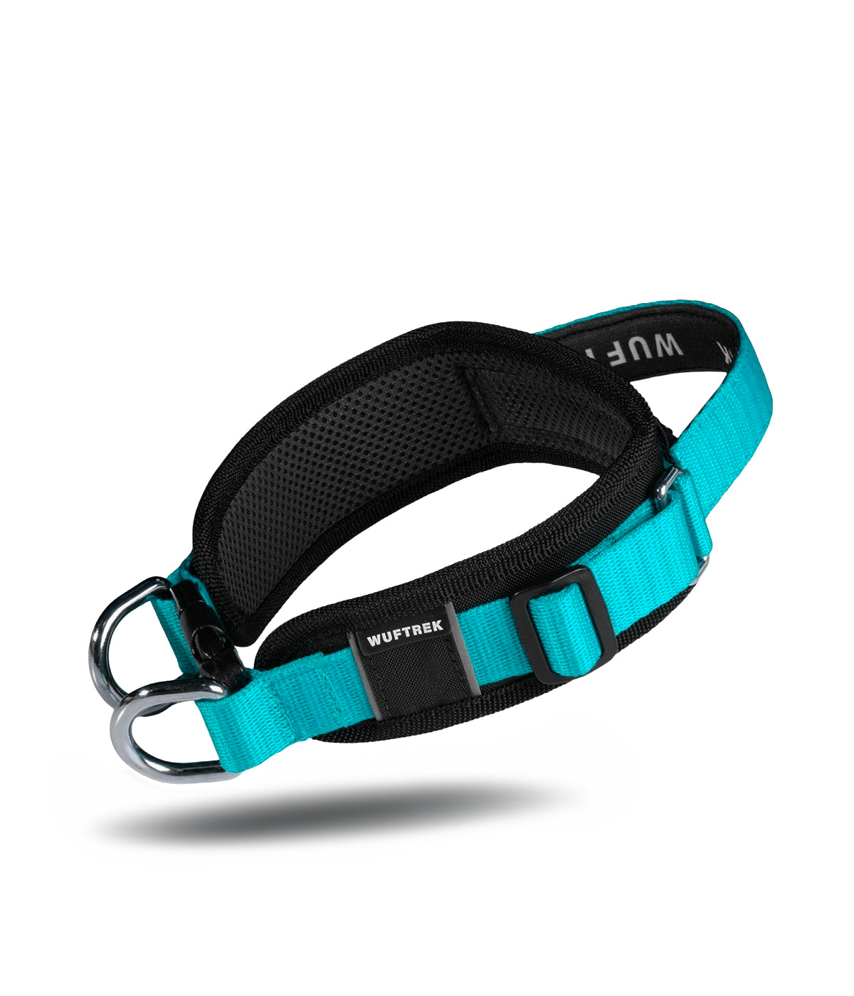 Wide black-and-Aqua dog collar with control handle, neoprene lining, and two front attachment rings