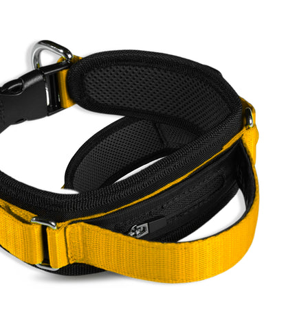 Collar para perros grandes MaxTrek Find Trekker vista posterior