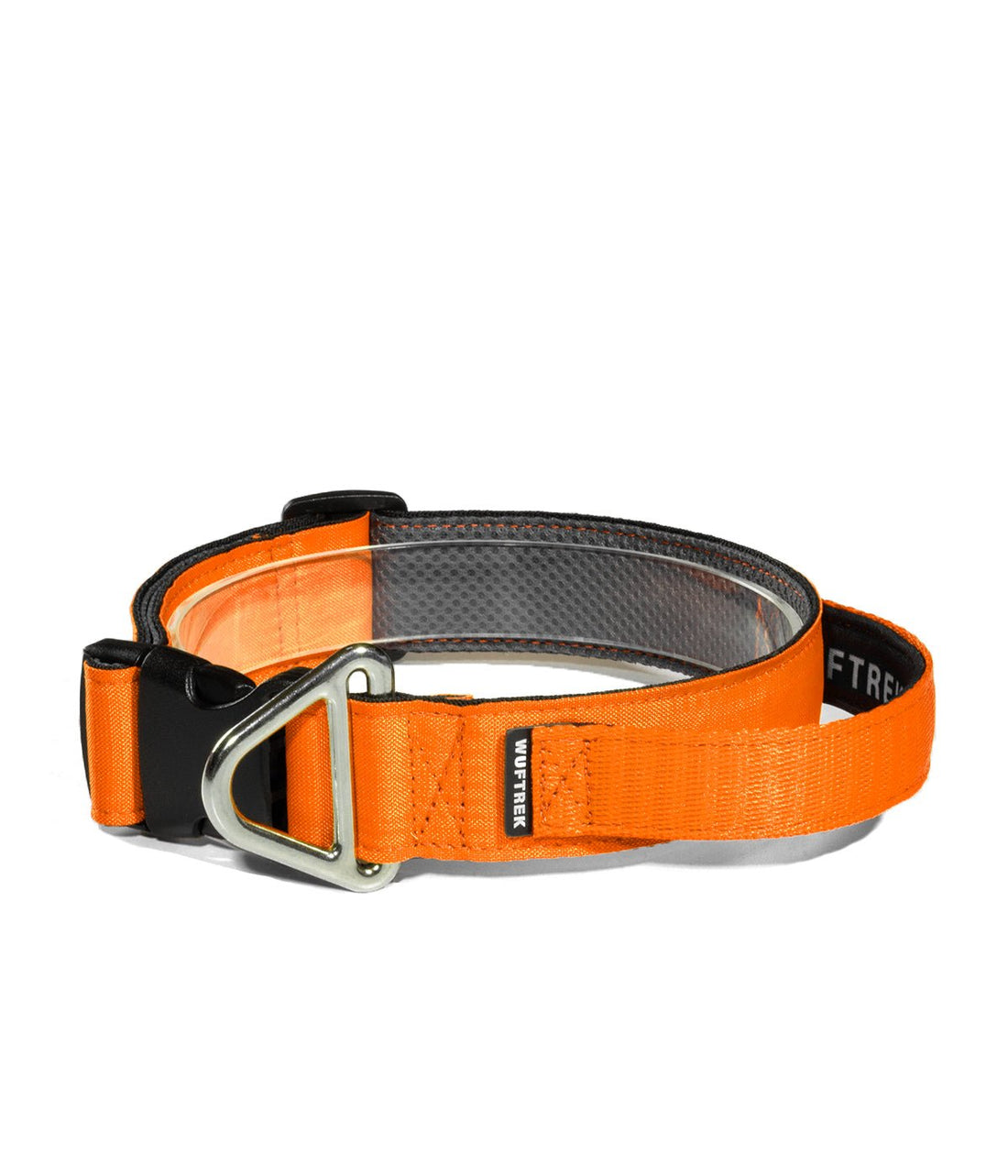 Collar para perros TrekForce - Summer