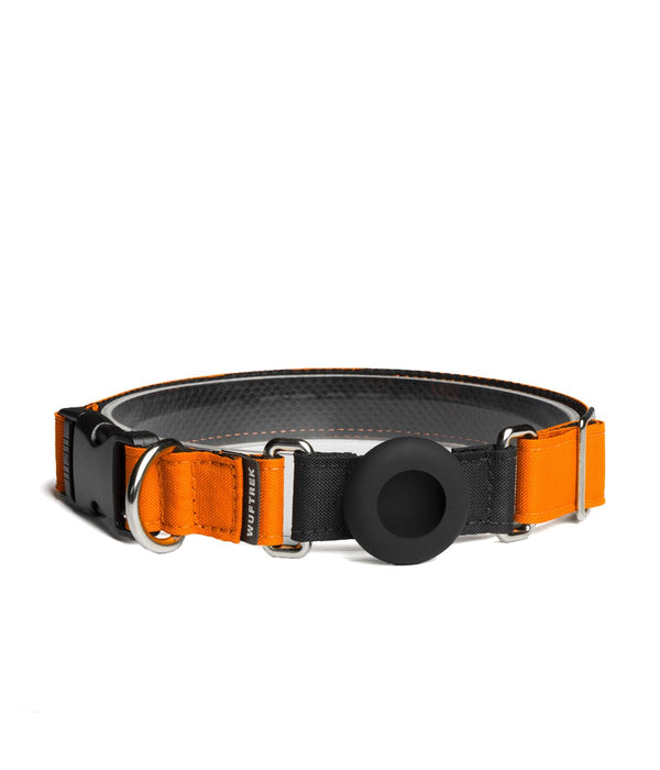 TagTrek Summer AirTag collar