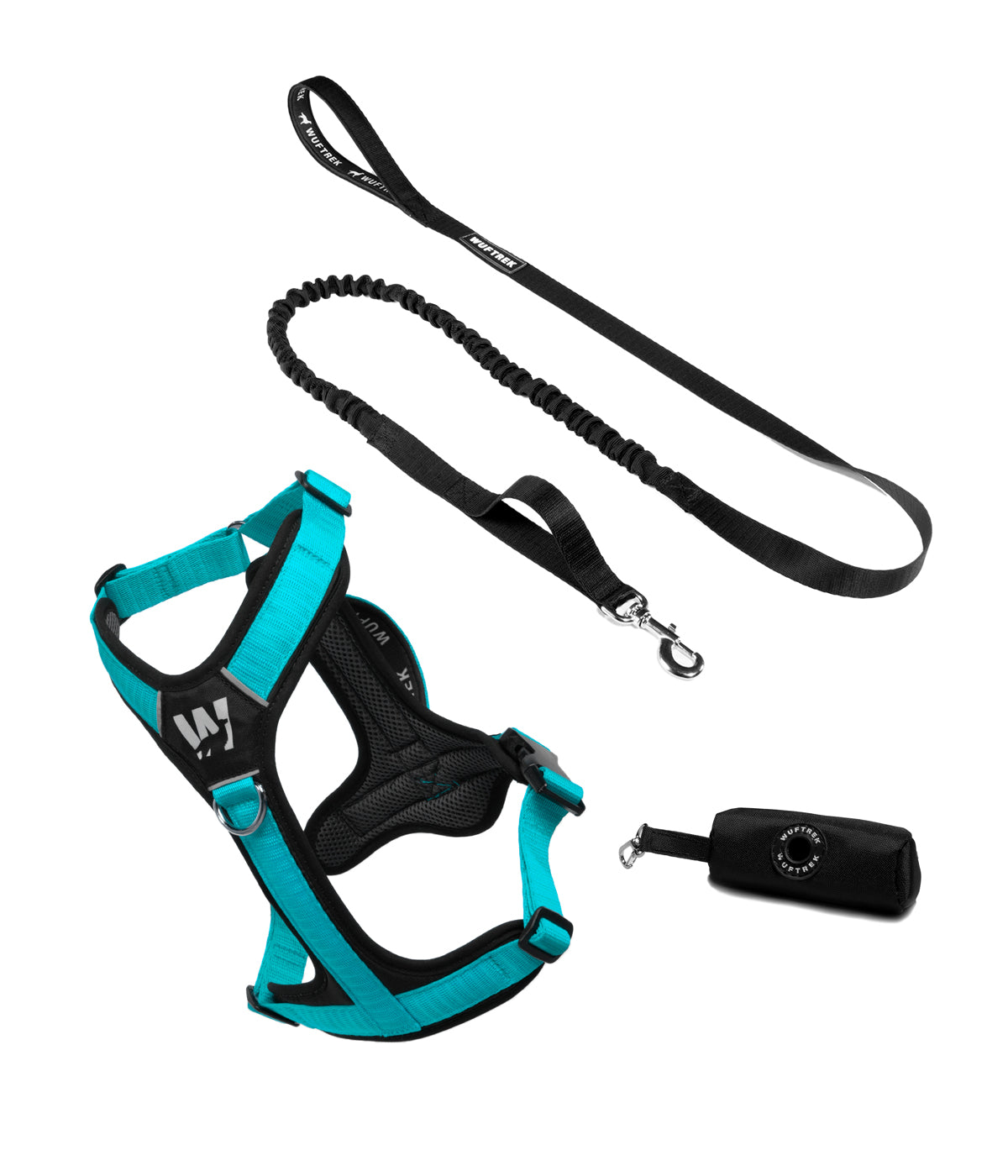 Dog set with Aqua-and-black Y-shaped harness, black bungee leash, and black waste bag holder