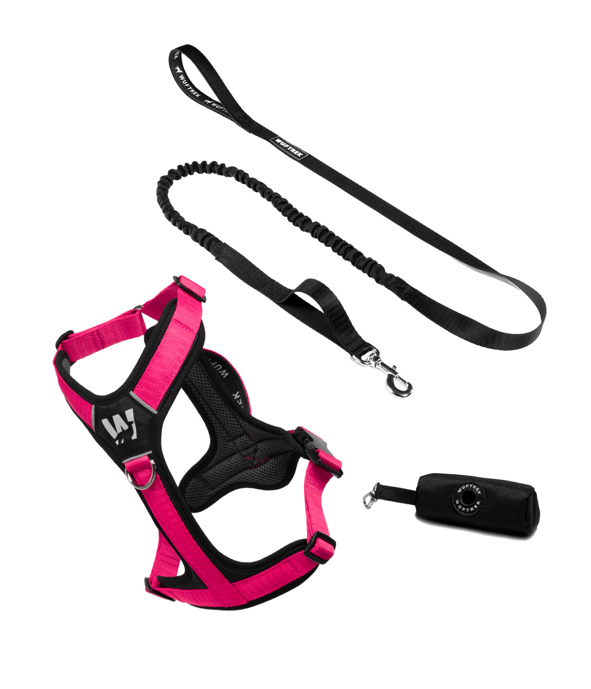 Dog set with fuchsia-and-black Y-shaped harness, black bungee leash, and black waste bag holder