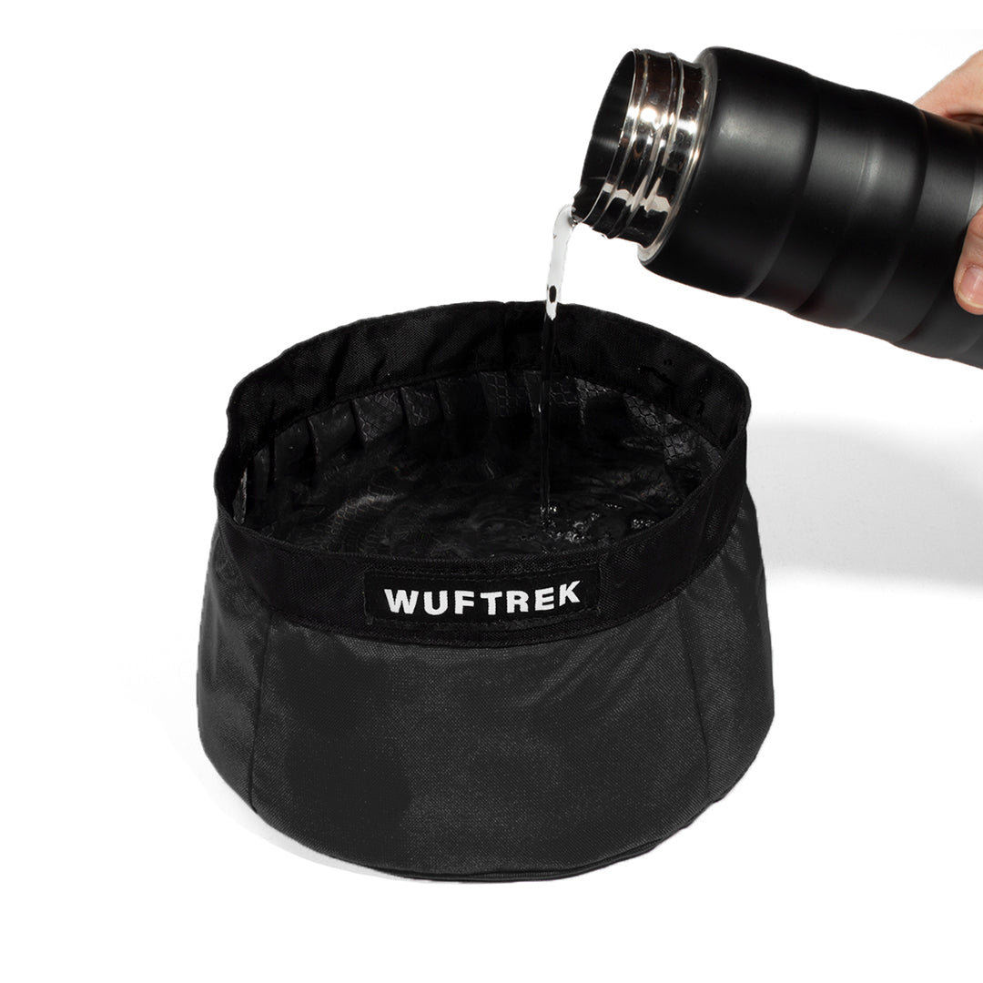 Una persona echando agua desde un termo dentro de un bebedero para perro color negro de la marca WUFTREK