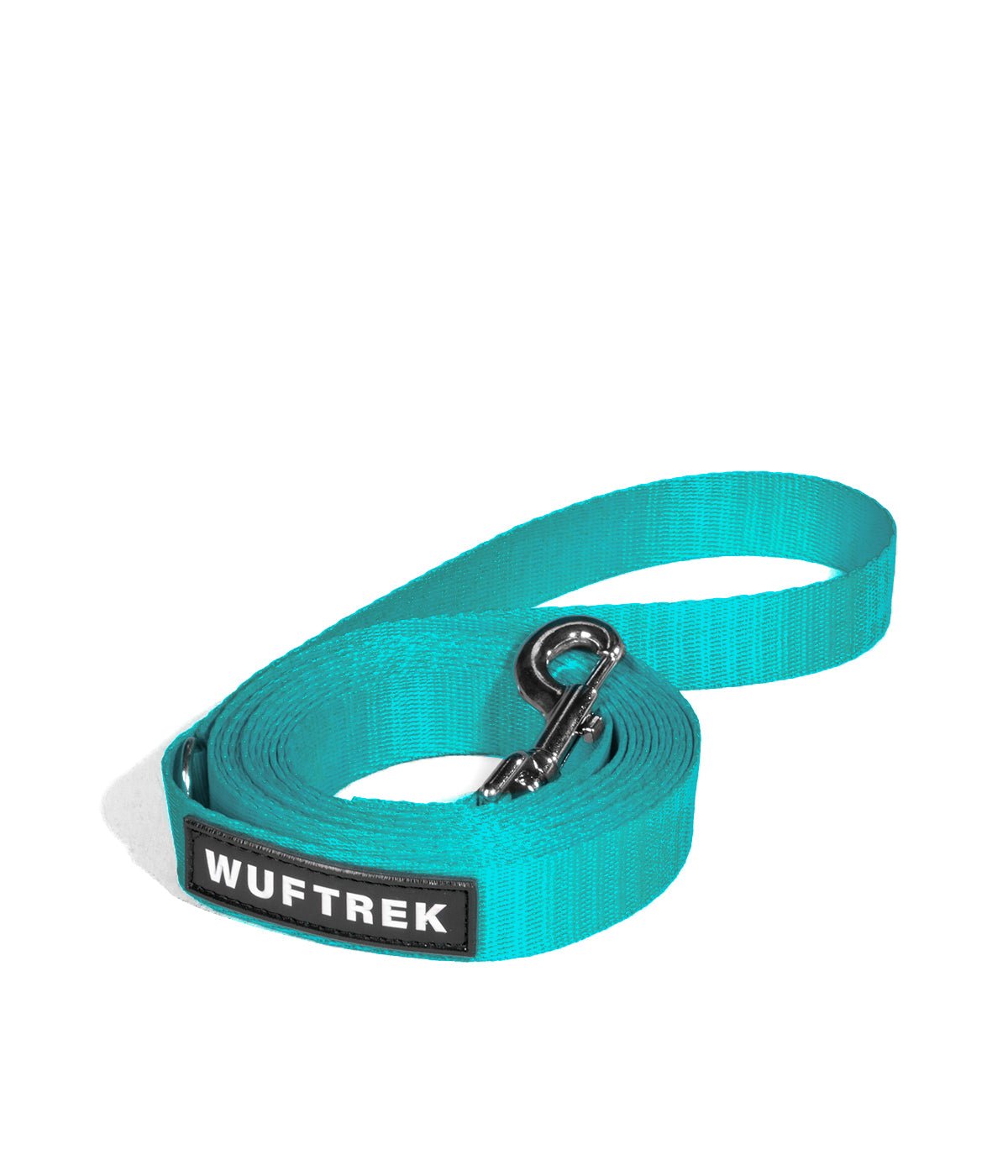 Turquoise long dog leash