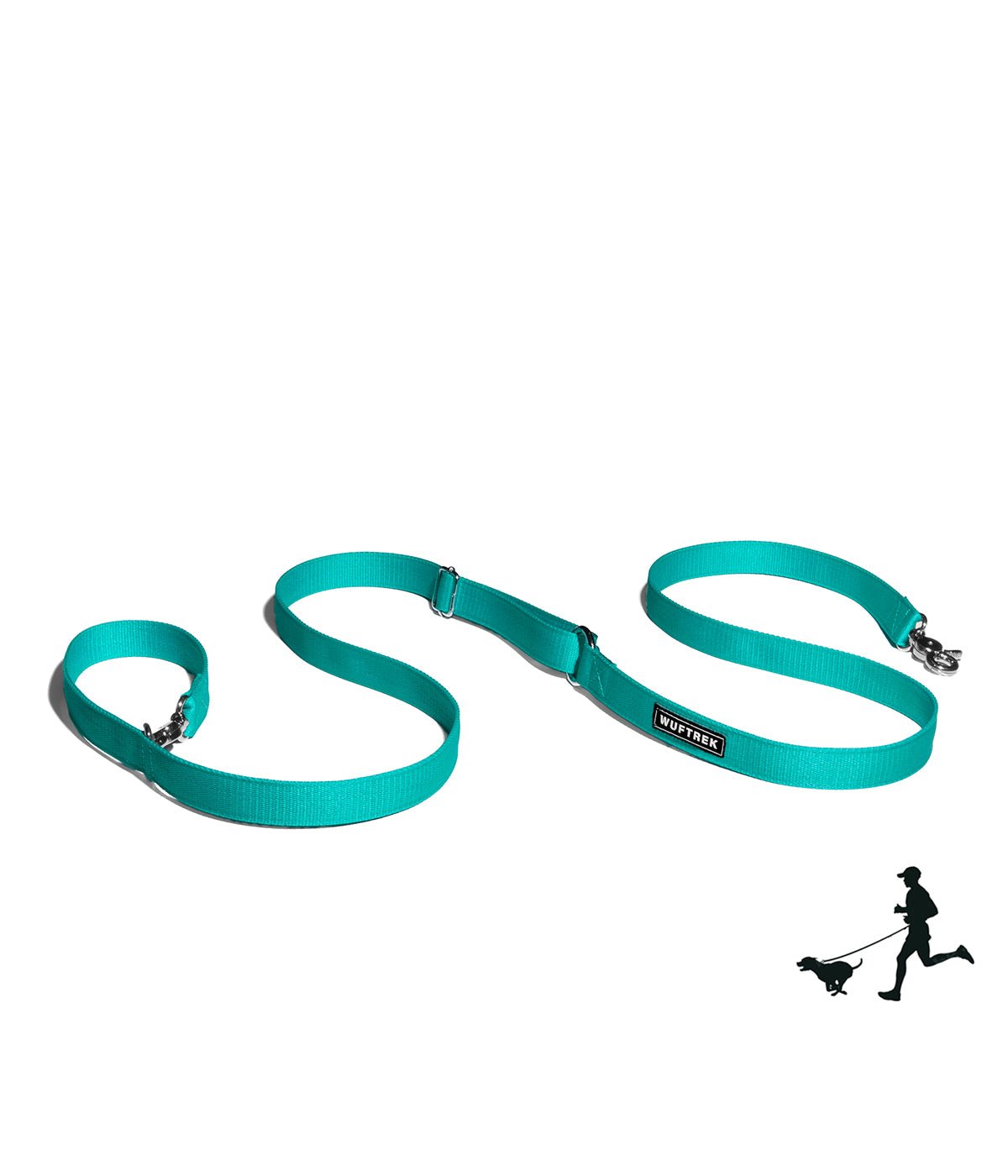 Turquoise hands-free dog leash