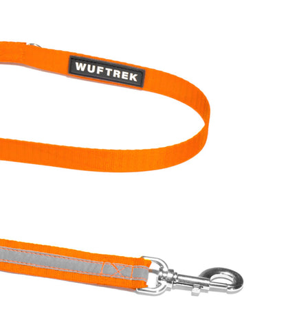 Detalle del herraje de la correa para perros color naranja
