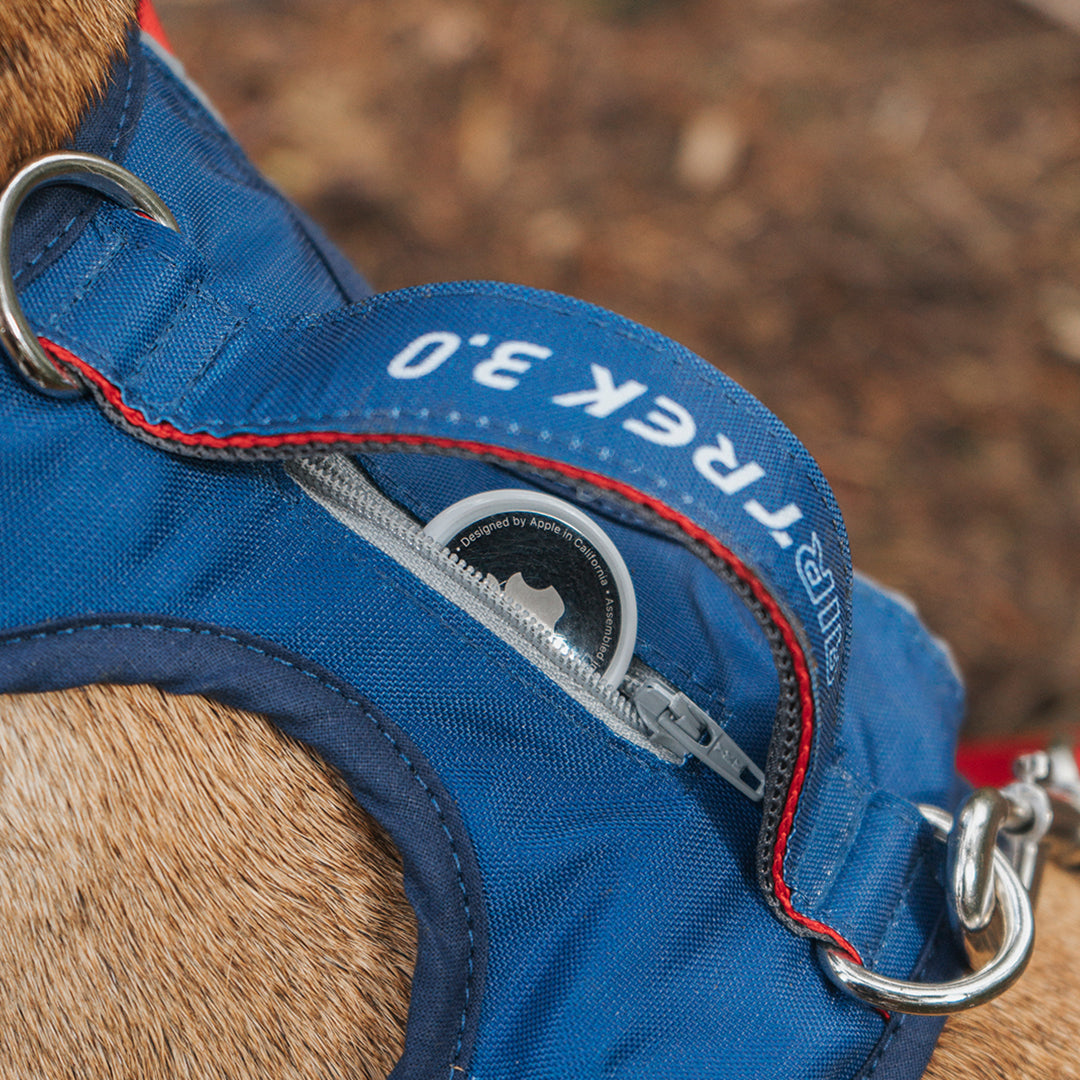 Detalle del bolsillo de seguridad para colocar el localizador de una pechera para perros color azul y rojo