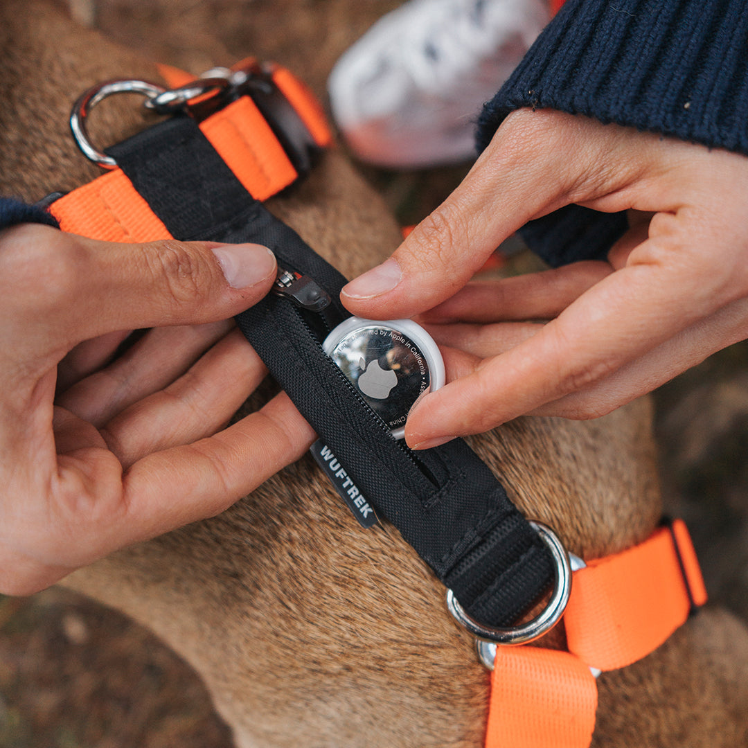 Detalle de una mujer colocando un AirTag de Apple en un bolsillo de un arnés H para perros color naranja con negro