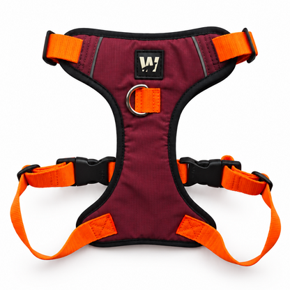 Pechera EasyTrek – Avante – Talla M