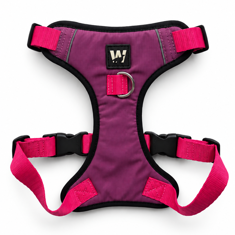 Pechera EasyTrek – Mist – Talla M